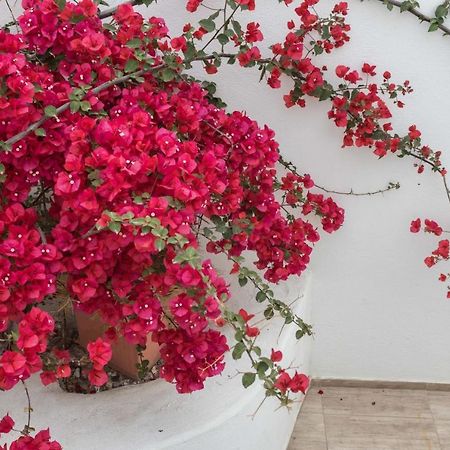 Depis Apartments & Suites Naxos City Екстер'єр фото